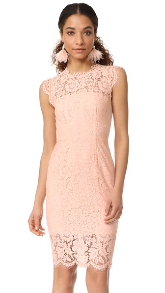rachel zoe lace dress