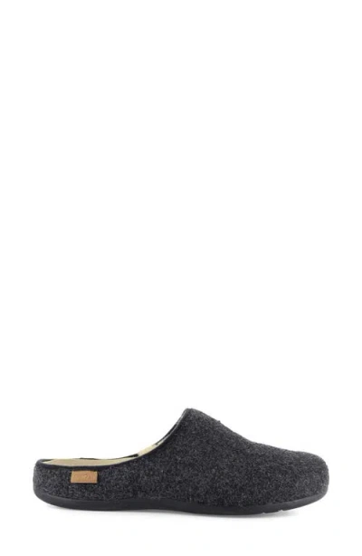 Strive Copenhagen Mule In Multi
