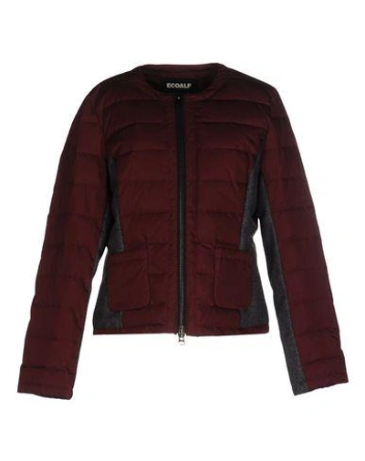 Shop Ecoalf Down Jacket In Maroon