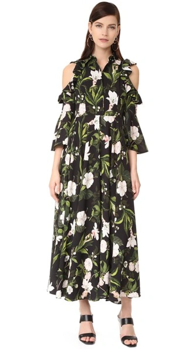 Vivetta Floral Frill Cold Shoulder Maxi Dress In Black Multi