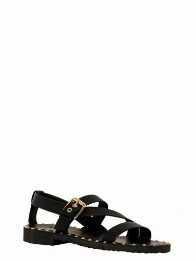 Shop Giuseppe Zanotti Sandals In Black