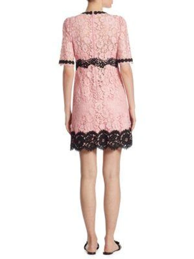 Shop Dolce & Gabbana Lace Flare Dress In Pink