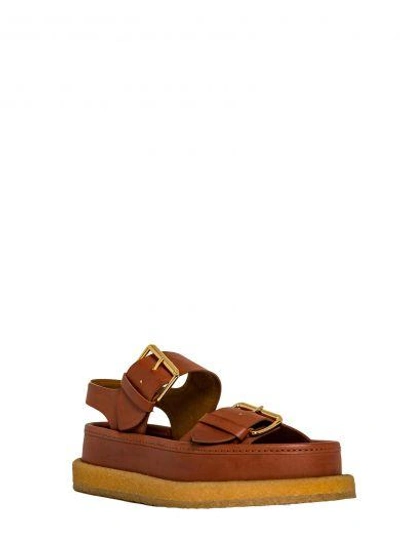 Shop Stella Mccartney Sandal In Brown