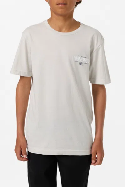 O'neill Boy's Isolate Classic T-shirt In White