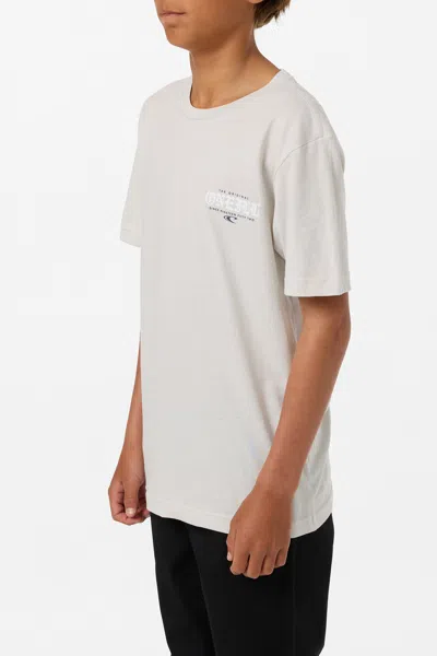 O'neill Boy's Isolate Classic T-shirt In White