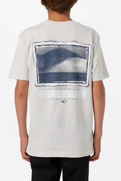 O'neill Boy's Isolate Classic T-shirt In White