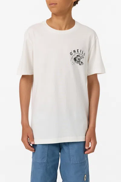 O'neill Boy's Sesh T-shirt In Multi