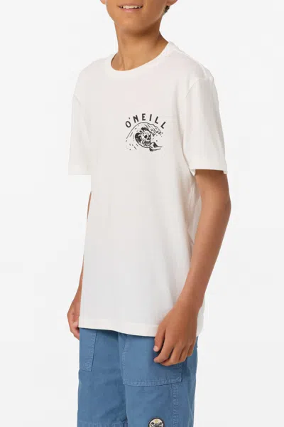 O'neill Boy's Sesh T-shirt In Multi