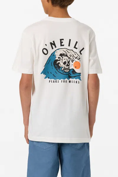 O'neill Boy's Sesh T-shirt In Multi