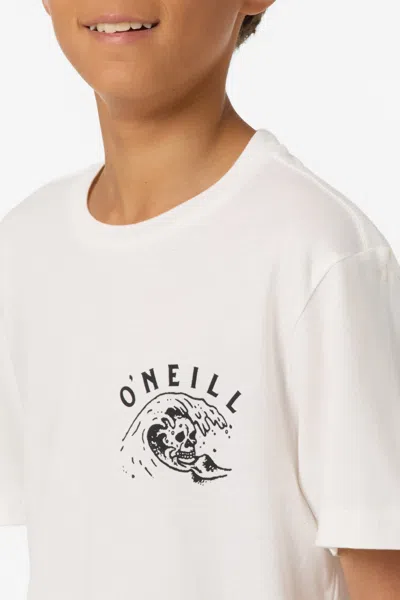 O'neill Boy's Sesh T-shirt In Multi