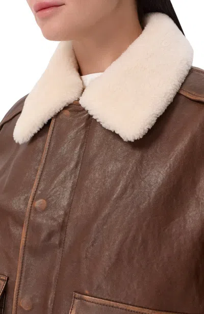 Dunst Detachable A-2 Leather Blouson Jacket With Classic Collar And Zip Front In Brown