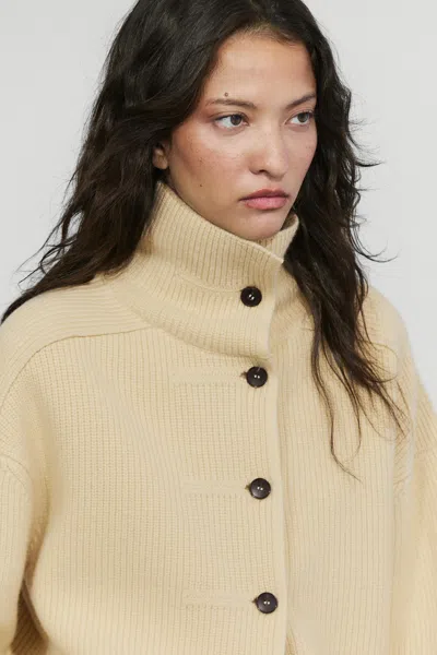 Massimo Dutti In Multi