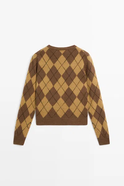 Massimo Dutti In Brown