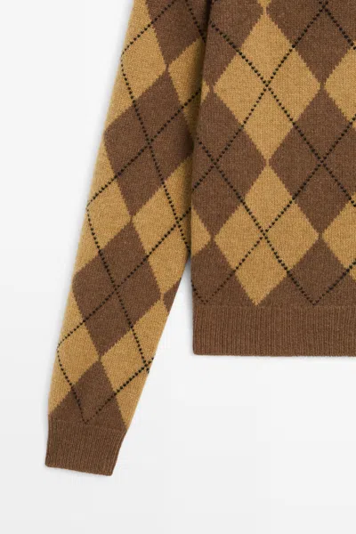 Massimo Dutti In Brown