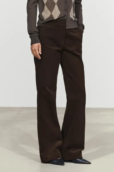 Massimo Dutti In Brown