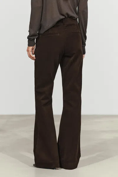 Massimo Dutti In Brown