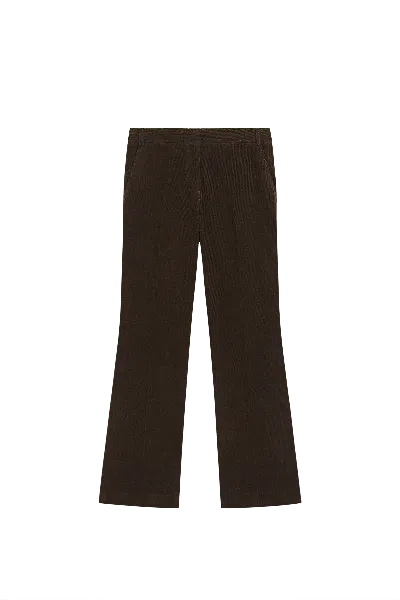 Massimo Dutti In Brown