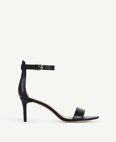 Ann Taylor Kaelyn Leather Strappy Sandals In Black