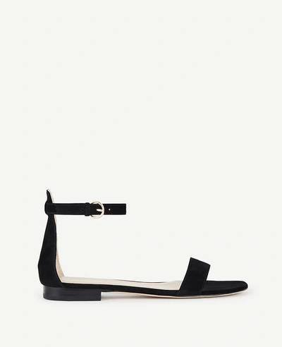 Ann Taylor Brinley Suede Flat Sandals In Black