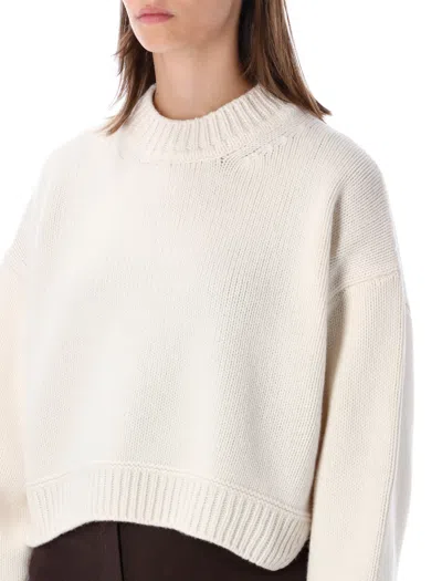 Sessun Cropped Ribbed Mock Neck Sweater In Neutral