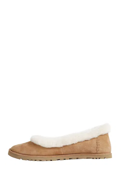 Ugg Soft Suede Ballet Flat With Plush Sheepskin Lining In Brown