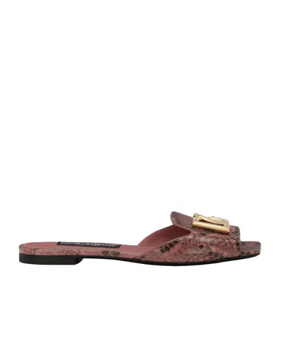 Dolce & Gabbana Python Skin Sliders In Pink