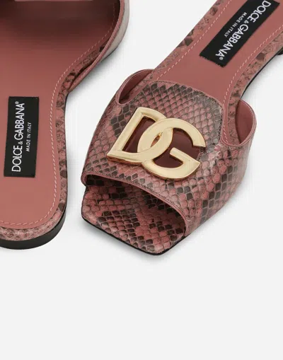 Dolce & Gabbana Python Skin Sliders In Pink