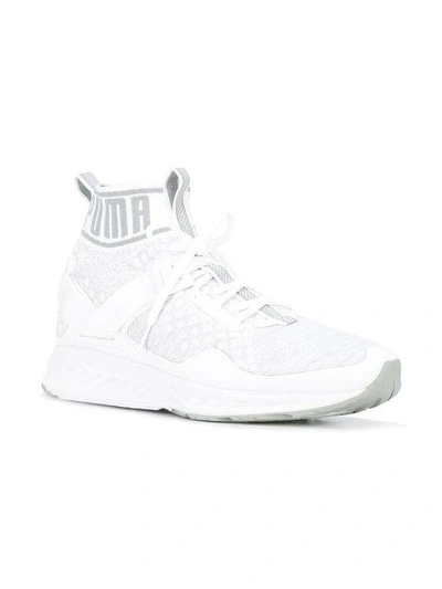 Shop Puma Ignite Evoknit 하이탑 스니커즈