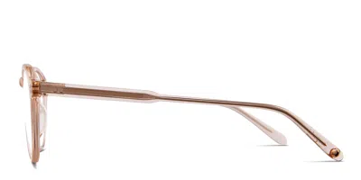Garrett Leight Stanton Beige/clear In Beige,clear