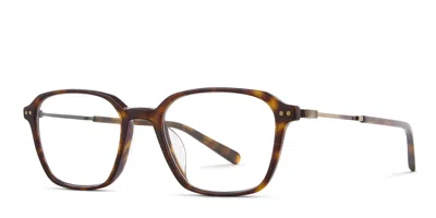 Mr Leight Gideon C Tortoise In Tortoise