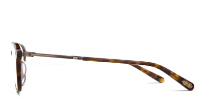 Mr Leight Gideon C Tortoise In Tortoise