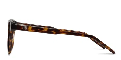 Muse Isaac Brown,tortoise In Brown,tortoise