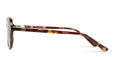 Muse Auster Tortoise In Tortoise