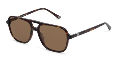 Muse Auster Tortoise In Tortoise