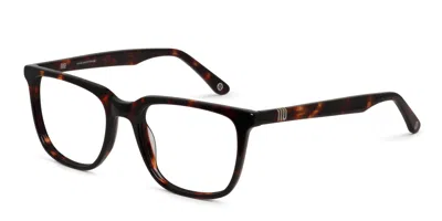 Muse Jojo Tortoise In Tortoise