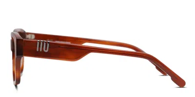Muse Insight Tortoise In Tortoise