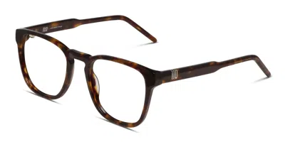 Muse Kenyon Tortoise In Tortoise