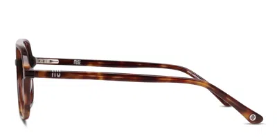 Muse Auster Tortoise In Tortoise