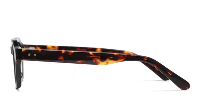 Muse Flight Tortoise In Tortoise