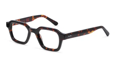 Muse Flight Tortoise In Tortoise