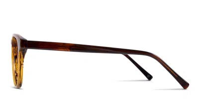 Muse Brenner Tortoise In Tortoise