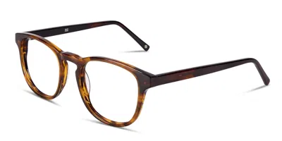 Muse Brenner Tortoise In Tortoise