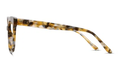 Diff Winston Tortoise In Tortoise