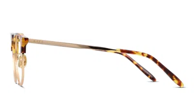 Diff Kira Tortoise,gold In Tortoise,gold