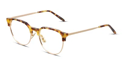 Diff Kira Tortoise,gold In Tortoise,gold