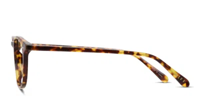 Diff Jaxson Tortoise In Tortoise