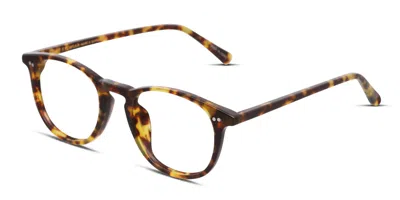Diff Jaxson Tortoise In Tortoise