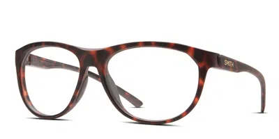 Smith Optics Smith Uplift Tortoise In Tortoise