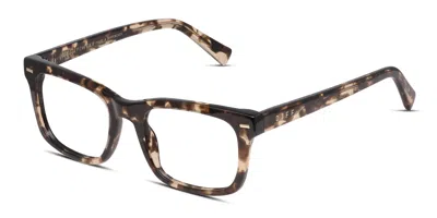 Diff Daria Tortoise In Tortoise