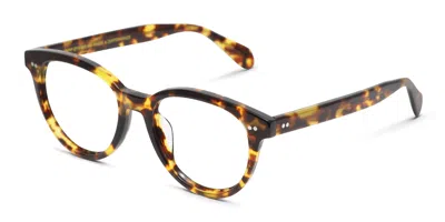 Diff Carly Tortoise In Tortoise